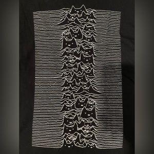 Threadless cat Joy Division shirt black